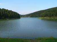 Angeln im Urlaub Eixendorfer Stausee Oberpfalz