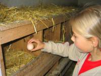 Urlaub auf dem Bauernhof Bayerischer Wald Kinder Eier suchen