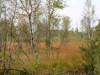 Wanderurlaub Lüneburger Heide Erlebnisurlaub Naturschutzgebiet