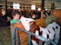 Urlaub auf dem Bauernhof Hessen Kuhstall Kinder Kälbchen